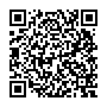 QR code for RIS699
