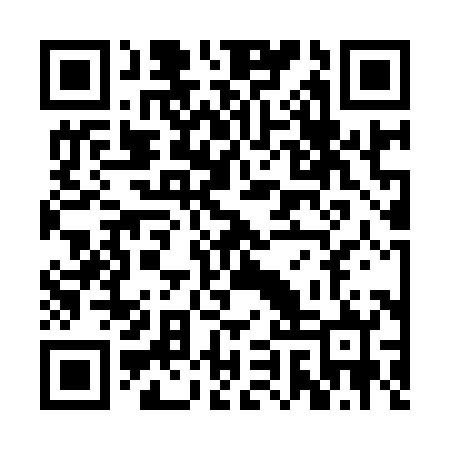 QR code for RIS982