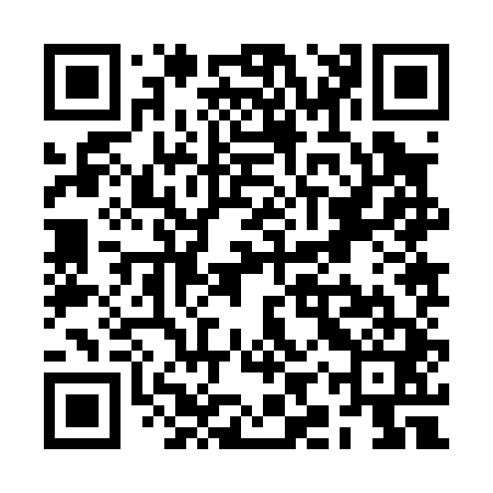 QR code for RIZ041