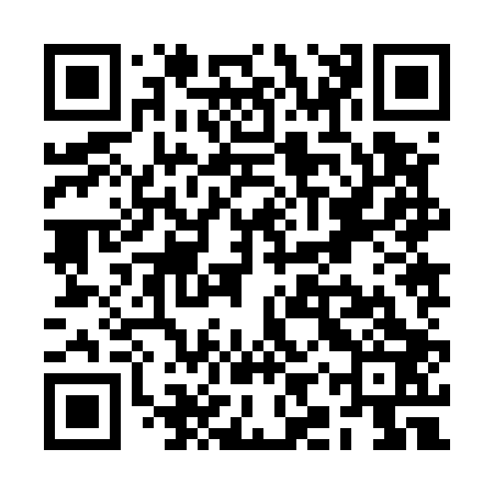 QR code for RIZ503