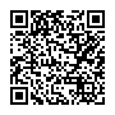 QR code for RKG381