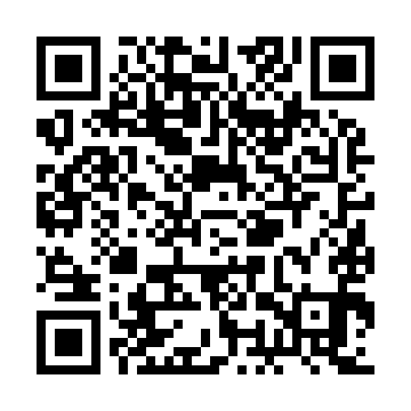 QR code for ROV991