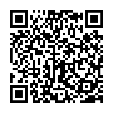 QR code for RPZ229