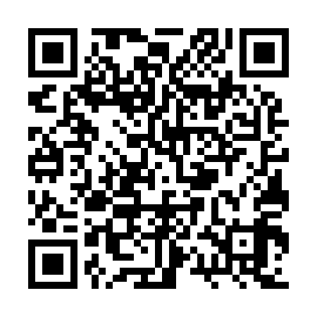 QR code for RQG919
