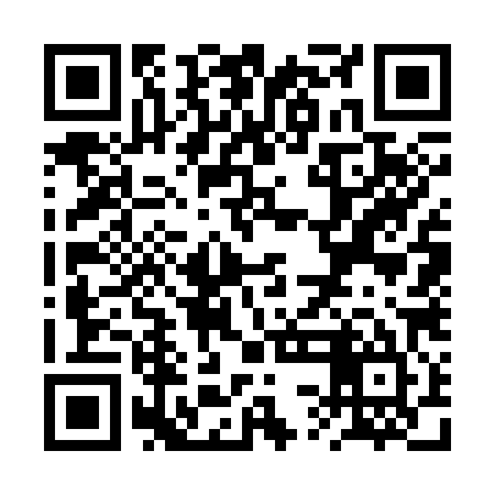 QR code for RSG385