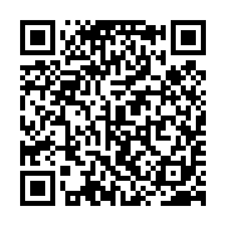 QR code for RSS491