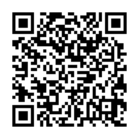 QR code for RVG333
