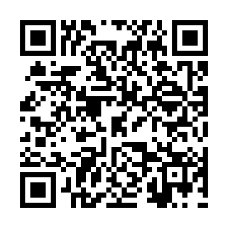 QR code for RXI383