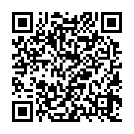 QR code for RYO338