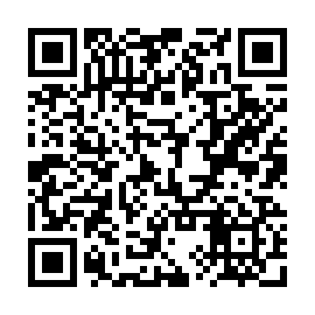 QR code for RYZ729
