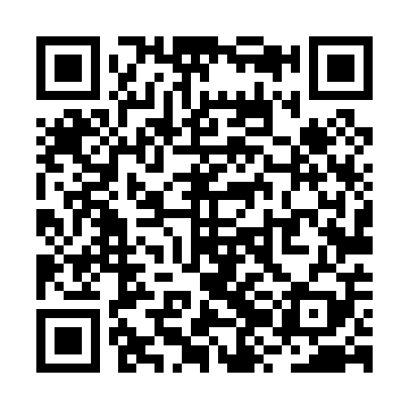 QR code for RZL009