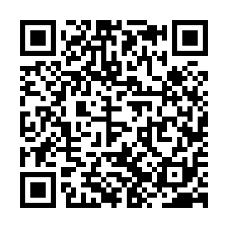 QR code for RZV811