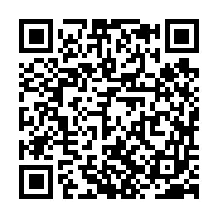 QR code for RZZ653