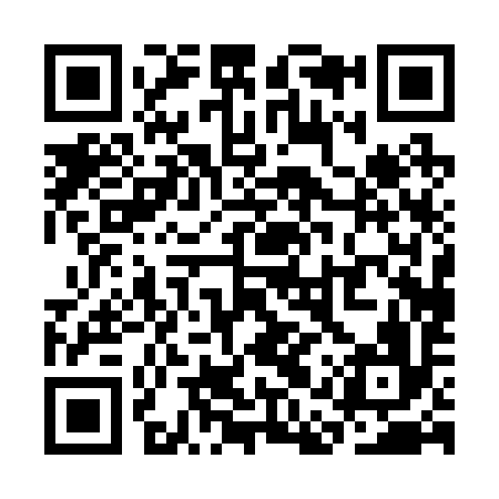 QR code for SAP296