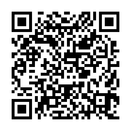 QR code for SAR241