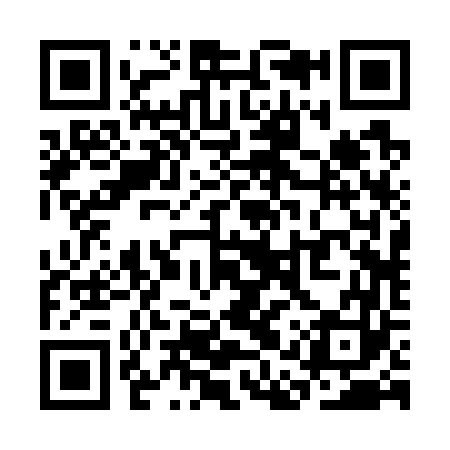 QR code for SAR763