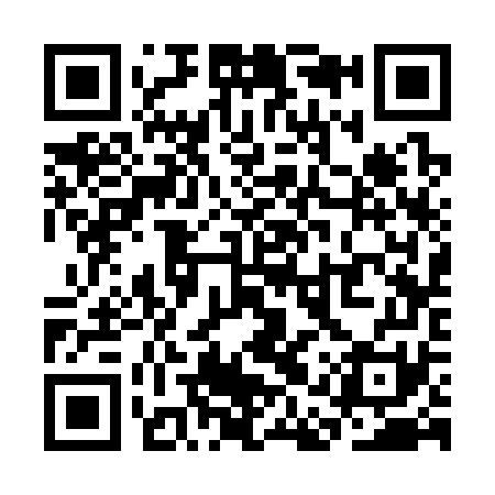 QR code for SAS371