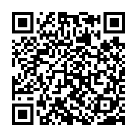 QR code for SAS668