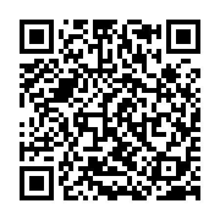 QR code for SAS919