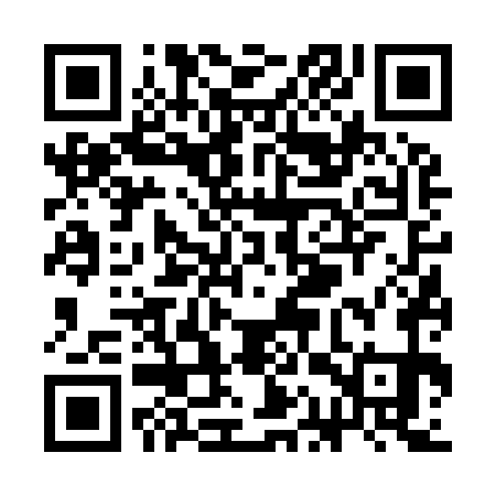 QR code for SAV971