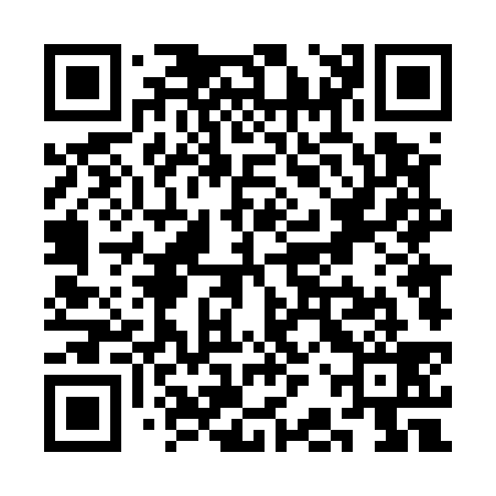 QR code for SBT539