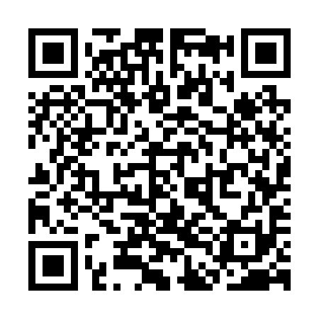 QR code for SDG291
