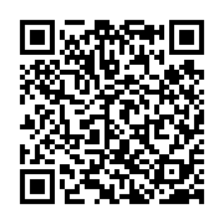 QR code for SDG619