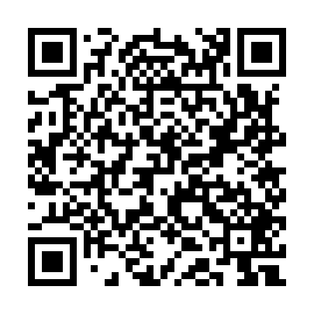 QR code for SDG949