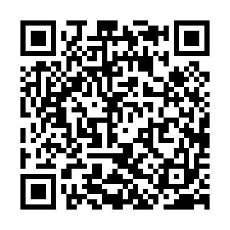 QR code for SDP013