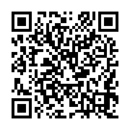 QR code for SDP953