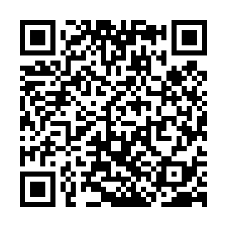 QR code for SFM439