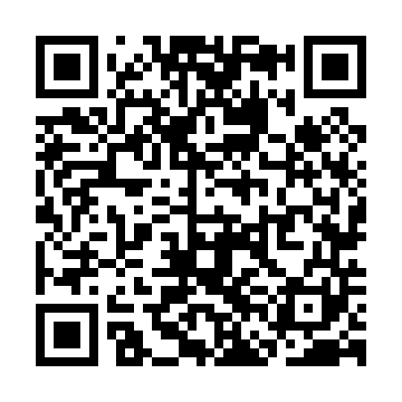 QR code for SFN041