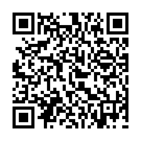 QR code for SFU294