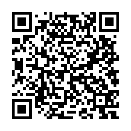 QR code for SFV533