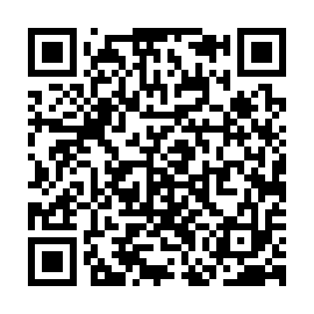 QR code for SGD313