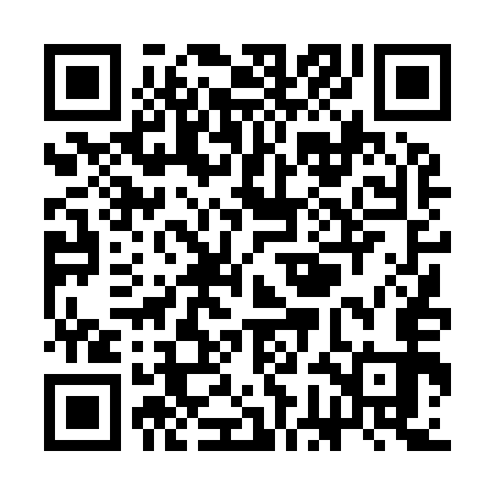 QR code for SGD953