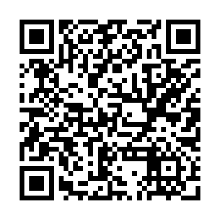 QR code for SGD996