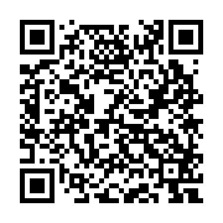 QR code for SGK383