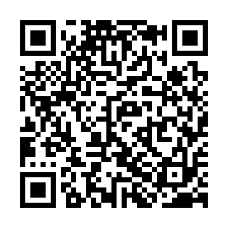 QR code for SHG313
