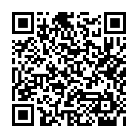 QR code for SII397