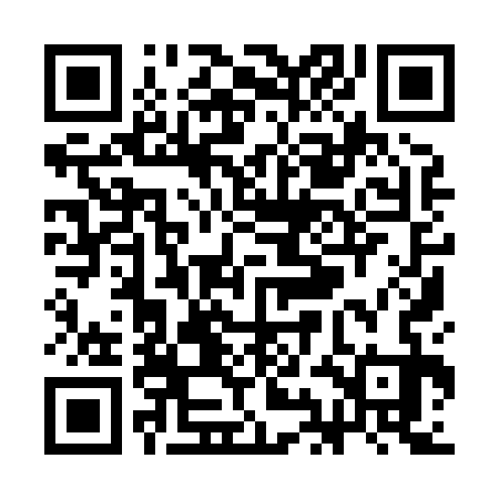QR code for SII833