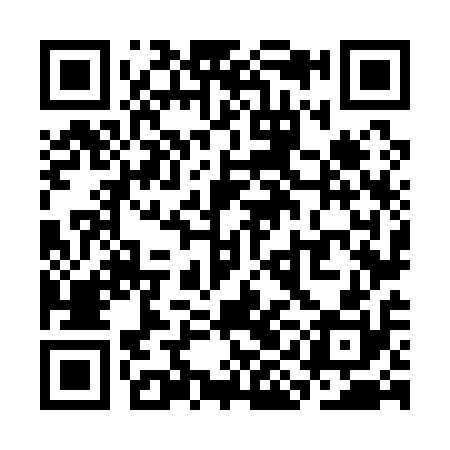 QR code for SIN110