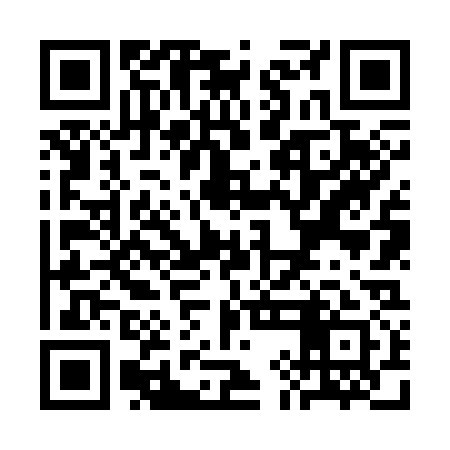 QR code for SIN331
