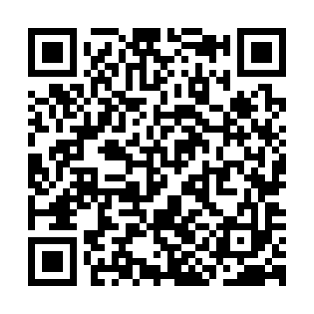 QR code for SIN393