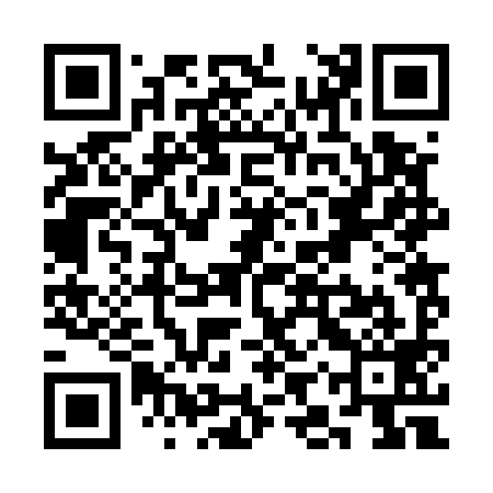QR code for SIR599
