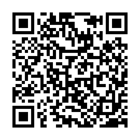 QR code for SIV213