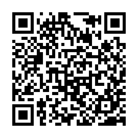 QR code for SIW384