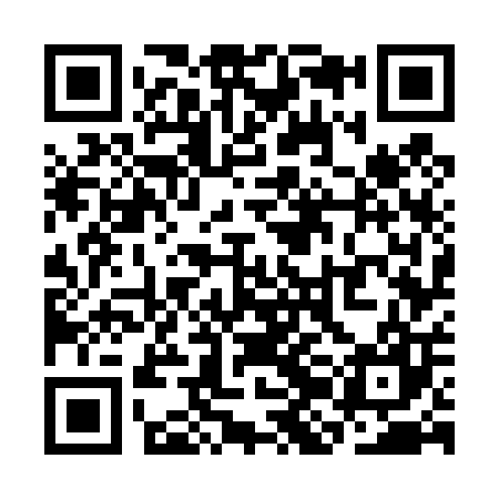 QR code for SJG407