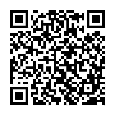 QR code for SJJ486