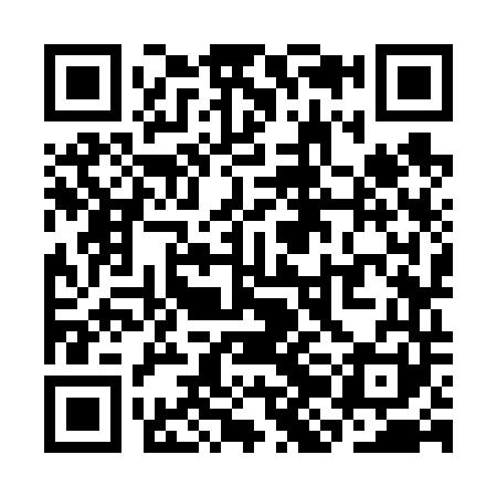 QR code for SJK641